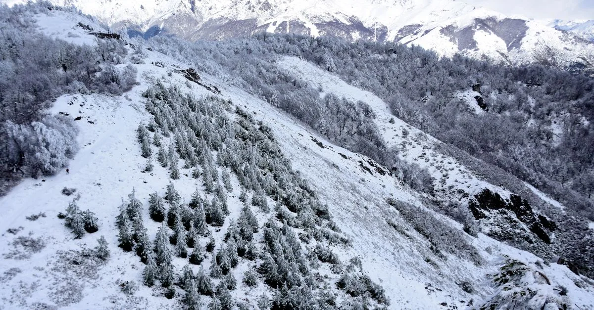 Alerta por nevadas: Neuquén refuerza el operativo y pide precaución en las rutas